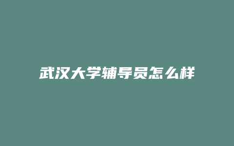 武汉大学辅导员怎么样