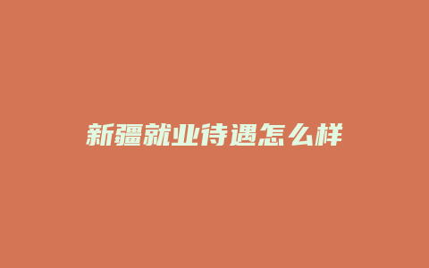 新疆就业待遇怎么样