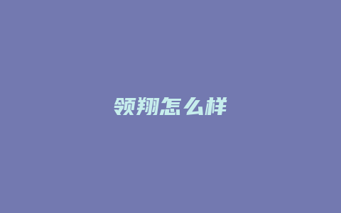 领翔怎么样