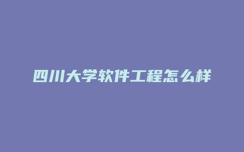 四川大学软件工程怎么样