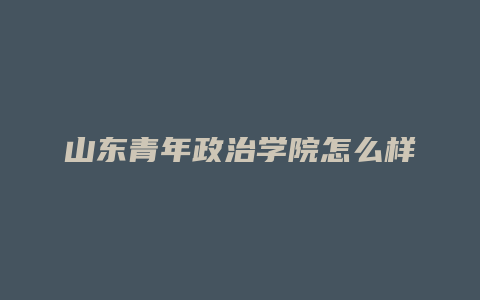 山东青年政治学院怎么样